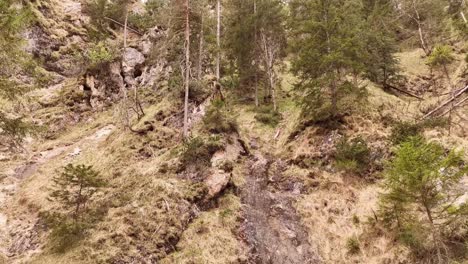 Aerial-view-of-the-Almbachklamm-waterfall-in-Garmisch-Partenkirche-during-summer-showcases-the-vibrant-display-of-colorful-foliage