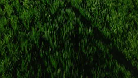 Tilt-up-to-a-windmill-over-a-vast-green-field-on-a-sunny-day