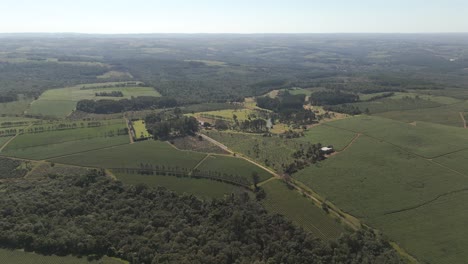 High-altitude-aerial-view-about-the-local-golf-club-and-green-tea-fields,-Argentina