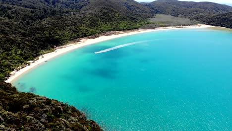 Vista-Aérea-De-Una-Lancha-Rápida-Que-Navega-Por-Las-Cristalinas-Aguas-Azules-De-Able-Tasman-Y-Se-Detiene-En-Una-Playa-De-Arena-Blanca-Rodeada-De-Bosque-Nativo.