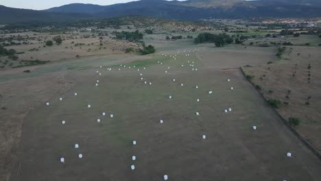 Vuelo-Con-Dron-En-Campos-De-Cultivo-Donde-Se-Han-Recogido-Y-Tirado-Fardos-Redondos-De-Paja-Envueltos-En-Plástico-Blanco,-Vemos-Tonos-Verdes-En-Los-Prados,-Hay-Montañas-Y-Un-Pueblo-A-Lo-Lejos