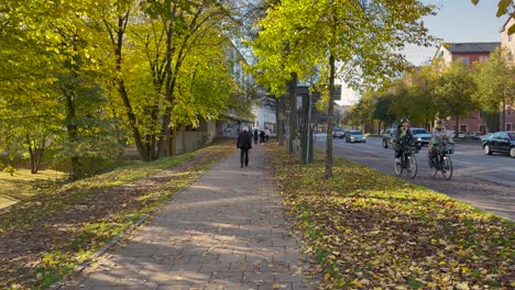 Man-walks-by-tree-lined-leafy-street-in-Stockholm-on-sunny-autumn-day