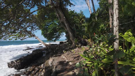 POV-walking-along-coastal-path-meandering-through-lush-trees-and-vegetation-with-waves-crashing-onto-rocky-shores-in-Panama