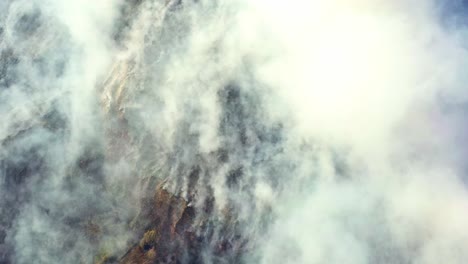 Drone-flying-over-smoldering-nature,-thick-white-smoke-rising-form-a-wildfire