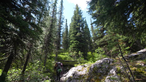 Mujer-Joven-En-Una-Ruta-De-Senderismo-En-El-Bosque-Caminando-Cuesta-Arriba-En-Un-Día-Soleado-De-Verano