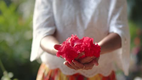 Frau-Bietet-Tropischen-Hibiscus-Rosa-sinensis-An