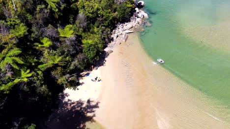 Aerial-view-of-man-playfully-jumping-in-the-clear-green-waters-at-a-white-sand-beach-in-Able-Tasman-National-Park