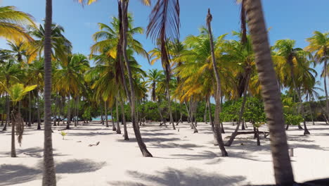 Wunderschöner-Tropischer-Strand-Der-Insel-Cayo-Sombrero-Im-Morrocoy-Nationalpark,-Venezuela---Drohnen-Pullback