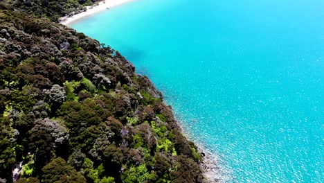 Aerlal-view-of-a-pristine-beach-being-revealed-on-a-summers-day-at-Able-Tasman-National-Park