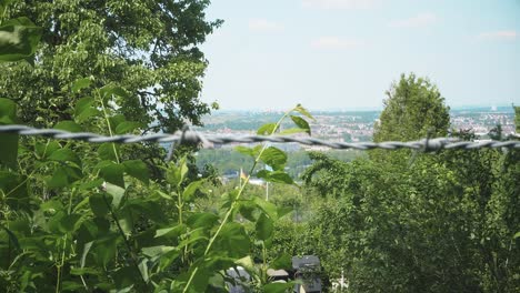 scenic-view-on-beer-jug-flag-on-allotment-colony,-blurry-barbed-wire-in-front