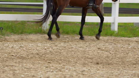 Close-view-of-a-horse-trotting-in-an-outdoor-arena,-focusing-on-the-movement-and-agility-of-the-horse's-legs-on-sandy-ground