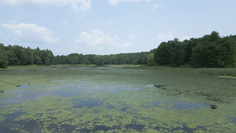 Low-aerial-orbit-above-lake-surface-with-sky-and-forest-reflecting-in-water,-Lake-Fitzgerald-Northampton-Massachusetts