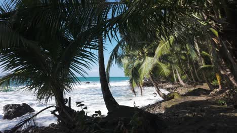 Tropical-trail-leading-to-a-secluded-beach-on-Bastimentos-Island,-Panama