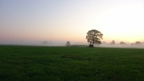 Zeitraffer-Der-Sonne,-Die-Morgens-Durch-Den-Nebel-Bricht