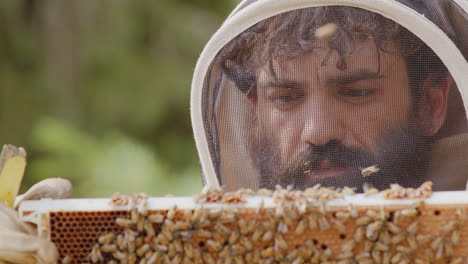 Beekeeper-in-bee-suit-looks-at-hive-frame-teeming-with-honeybees,-frontal-slomo