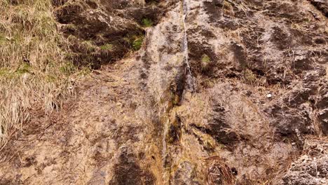 Aerial-view-of-the-Almbachklamm-waterfall-in-Garmisch-Partenkirche-during-summer-showcases-the-vibrant-display-of-colorful-foliage