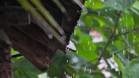 Gotas-De-Lluvia-Cayendo-Del-Techo,-Primer-Plano