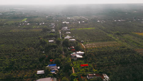 Descubra-Una-Pintoresca-Escena-De-Casas-Tradicionales-Enclavadas-En-Medio-De-Extensos-Campos-Agrícolas-En-El-Icónico-Delta-Del-Mekong.