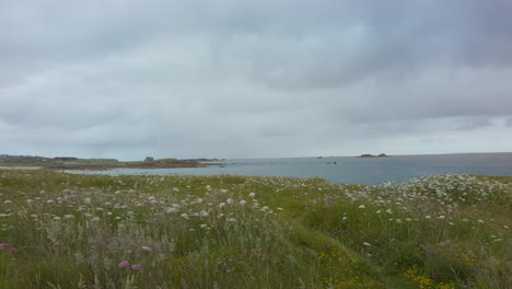 Weite-Aufnahme-Der-Küste-In-Frankreich-Mit-Bewölktem-Himmel-Und-Blumenwiese