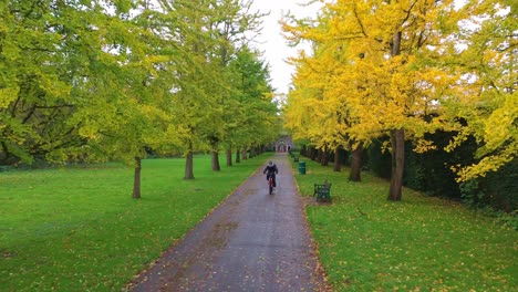 A-cyclists-rides-up-a-road-lined-by-autumn-coloured-trees-in-Brute-park-Cardiff