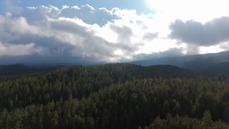 Panoramic-aerial-establishing-forest-texture-background-under-white-clouds-and-sunny-blue-sky