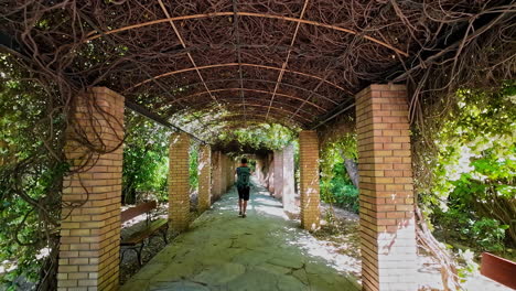 Covered-walkway-with-an-arching-trellis-structure-adorned-with-vines-and-greenery-at-national-garden