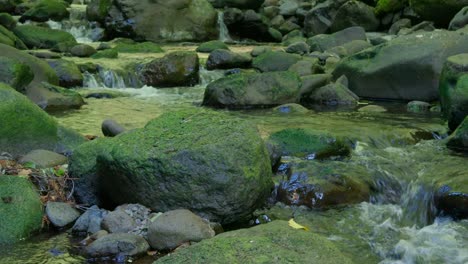 Multiple-cascades-of-water-create-a-mesmerizing-path-down-the-creek,-flowing-over-rocks-and-through-lush-greenery,-showcasing-nature’s-beauty-and-the-tranquil-sounds-of-the-flowing-water