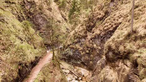 Aerial-view-of-the-Almbachklamm-waterfall-in-Garmisch-Partenkirche-during-summer-showcases-the-vibrant-display-of-colorful-foliage