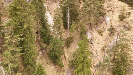 Aerial-view-of-the-Almbachklamm-waterfall-in-Garmisch-Partenkirche-during-summer-showcases-the-vibrant-display-of-colorful-foliage