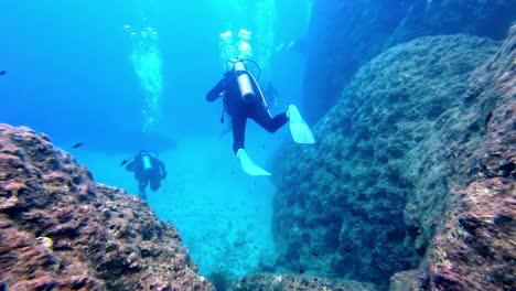 Scuba-diver-are-exploring-the-wildlife-of-the-ground-of-the-blue-ocean,-suit-and-oxygen-with-air-bubbles,-copy-space-in-slow-motion