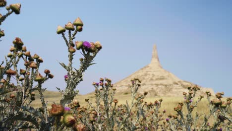 Cotton-Thistles-blow-in-breeze-in-front-of-Chimney-Rock-National-Historic-Site