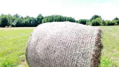 Straw-stacks-stacked-bales-of-hay-left-over-from-harvesting-crops,-field-of-an-agricultural-farm