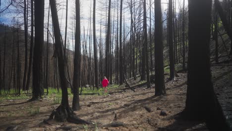 Mujer-Caminando-Sola-Por-El-Bosque-Con-Una-Túnica-Rosa-Brillante