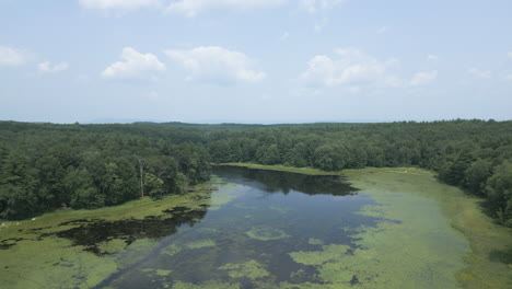 Aerial-dolly-over-lake-covered-with-invasive-water-chestnut-plants,-Lake-Fitzgerald-Northampton-Massachusetts