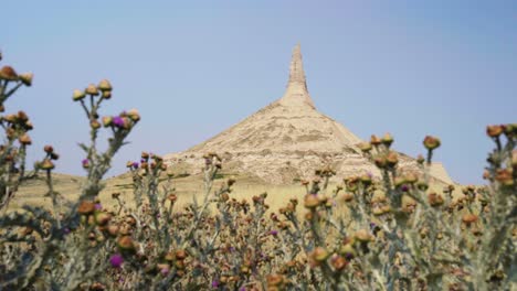 Chimney-Rock-National-Historic-Site-In-Nebraska-Mit-Schottischen-Disteln