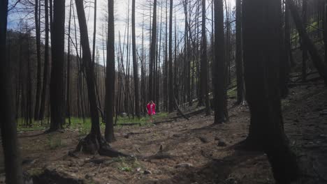 Girl-in-pink-looking-around-in-a-burnt-forest