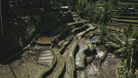 Anfiteatro-Esmeralda-De-Indonesia,-Donde-La-Naturaleza-Y-La-Tradición-Se-Abrazan