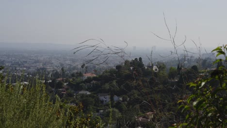 Una-Vista-Pintoresca-Desde-Una-Ladera,-Con-Vistas-A-Una-Extensa-Zona-Urbana-Con-Exuberante-Vegetación-En-Primer-Plano-Y-Edificios-Distantes-Envueltos-En-Una-Suave-Neblina.