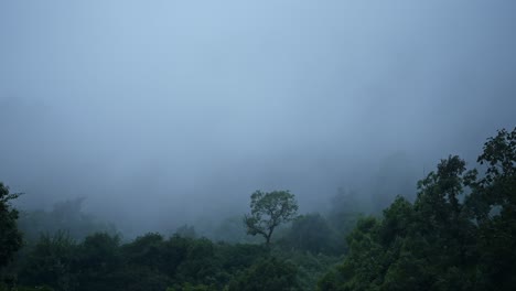 Zeitraffer-Des-Nebligen-Regenwalds-In-Nepal,-Zeitraffer-Einer-Geheimnisvollen-Waldlandschaft-Mit-Nebel-Und-Wolken,-Die-Sich-In-Einer-Dunkelblauen-Szene-Im-Himalaya-Von-Bäumen-Bewegen-Und-Aufsteigen