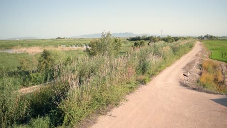 Allgemeine-Landschaft-Der-Valencianischen-Albufera-Mit-Vegetation-Und-Einer-Unbefestigten-Straße