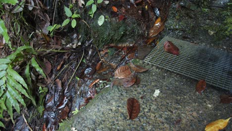 Wasser-Fließt-In-Einem-Kleinen-Kanal---Nahaufnahme