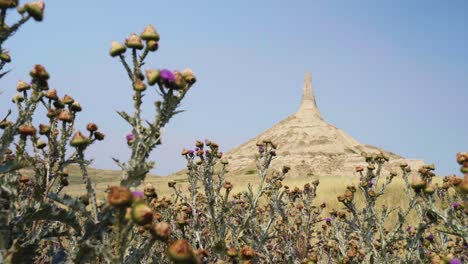 Rack-Fokus-Von-Scotch-Disteln-Zu-Chimney-Rock-National-Historic-Site