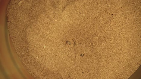 Sea-turtle-baby-newborn-animal-come-out-of-the-sand-beach-at-night-full-moon-nature-landscape-of-persian-gulf-in-middle-east-Asia-wonderful-scenic-moment-of-sand-slightly-move-in-ocean-island-in-iran