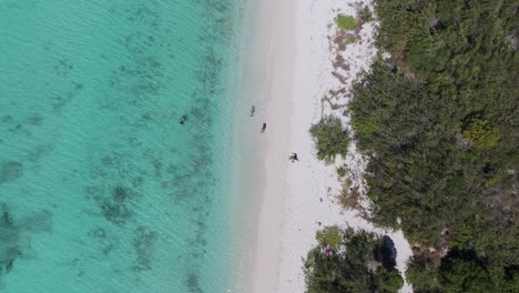 Ondas-Ventosas-En-Aguas-Tropicales-De-Un-Azul-Claro-Con-Olas-Rompiendo-En-La-Arena-Blanca,-Dron-Con-La-Capota-Bajada