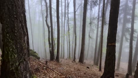 4k-Aufnahme-Eines-In-Einen-Baumstamm-Gehauenen-Pfeils,-Der-Auf-Einen-Nebligen-Wald-Zeigt