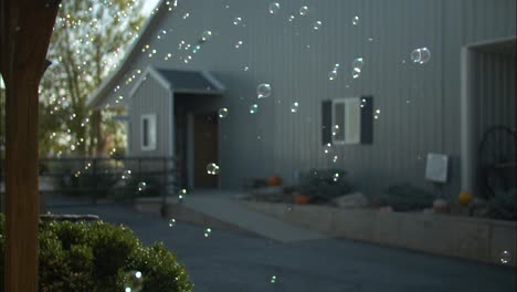 Bubbles-blowing-at-halloween-pumpkin-patch