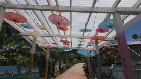 Colorful-umbrellas-hang-under-a-pergola-on-a-sunny-day-on-Bastimentos-Island-in-Bocas-del-Toro