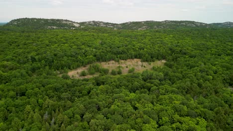 Aerial-view-of-vast-forest-on-Manitoulin-Island,-Heaven's-Gate-Nature-Preserve,-Ontario,-Canada