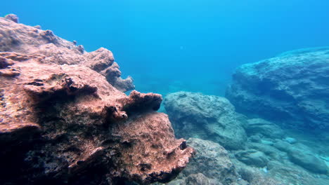 Stunning-corals-on-the-ground-of-the-ocean,-exploring-the-under-water-world-of-the-sea-at-day,-slow-motion-with-copy-space