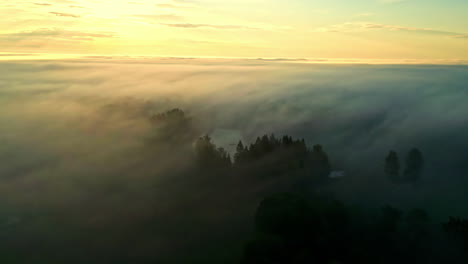 Bosque-De-Nubes-Brumosas,-Niebla-Espesa-Sobre-El-Dosel-De-Pinos,-Puesta-De-Sol-Aérea